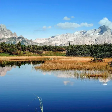 Holiday Gamsblume.12 * Annaberg im Lammertal